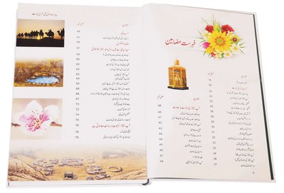 Sunehri Seerat 
