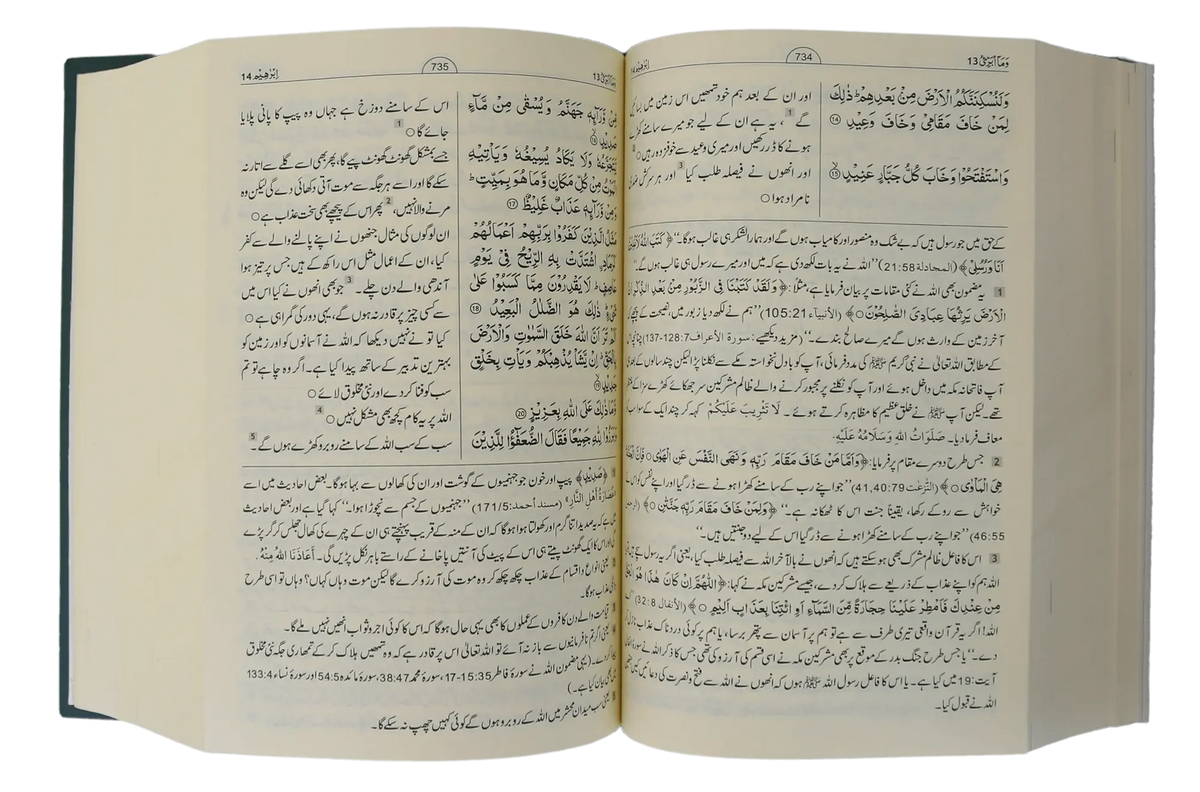 Tafseer Ahsan Al Bayyan, 13X20 (Imported) by Hafiz Salah-ud-Din Yousaf, inside pages, Darussalam Publishers