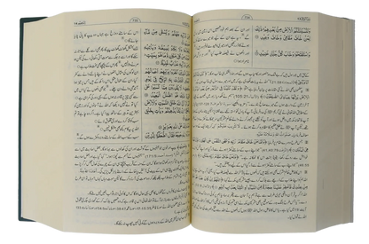 Tafseer Ahsan Al Bayyan, 13X20 (Imported) by Hafiz Salah-ud-Din Yousaf, inside pages, Darussalam Publishers