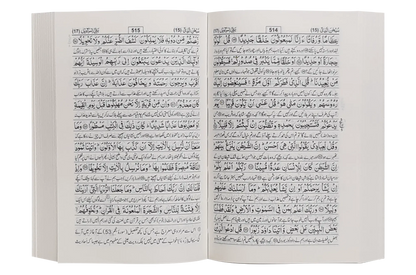 Tafsir Ahsan ul Kalaam (Soft Cover) 