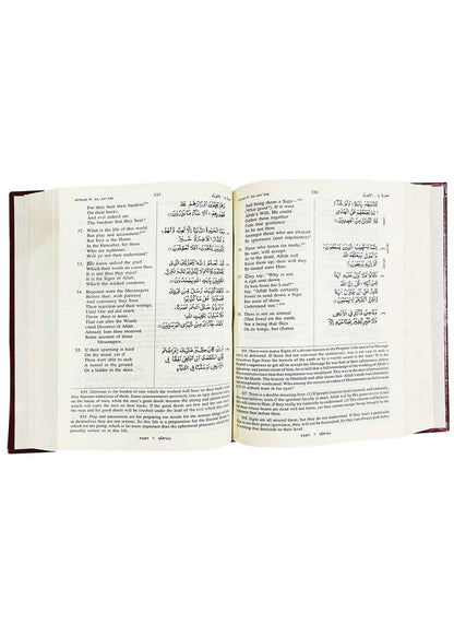 The Holy Quran (Arabic Text, English Translation & Commentary) by Allama Abdullah Yousaf Ali, inside pages