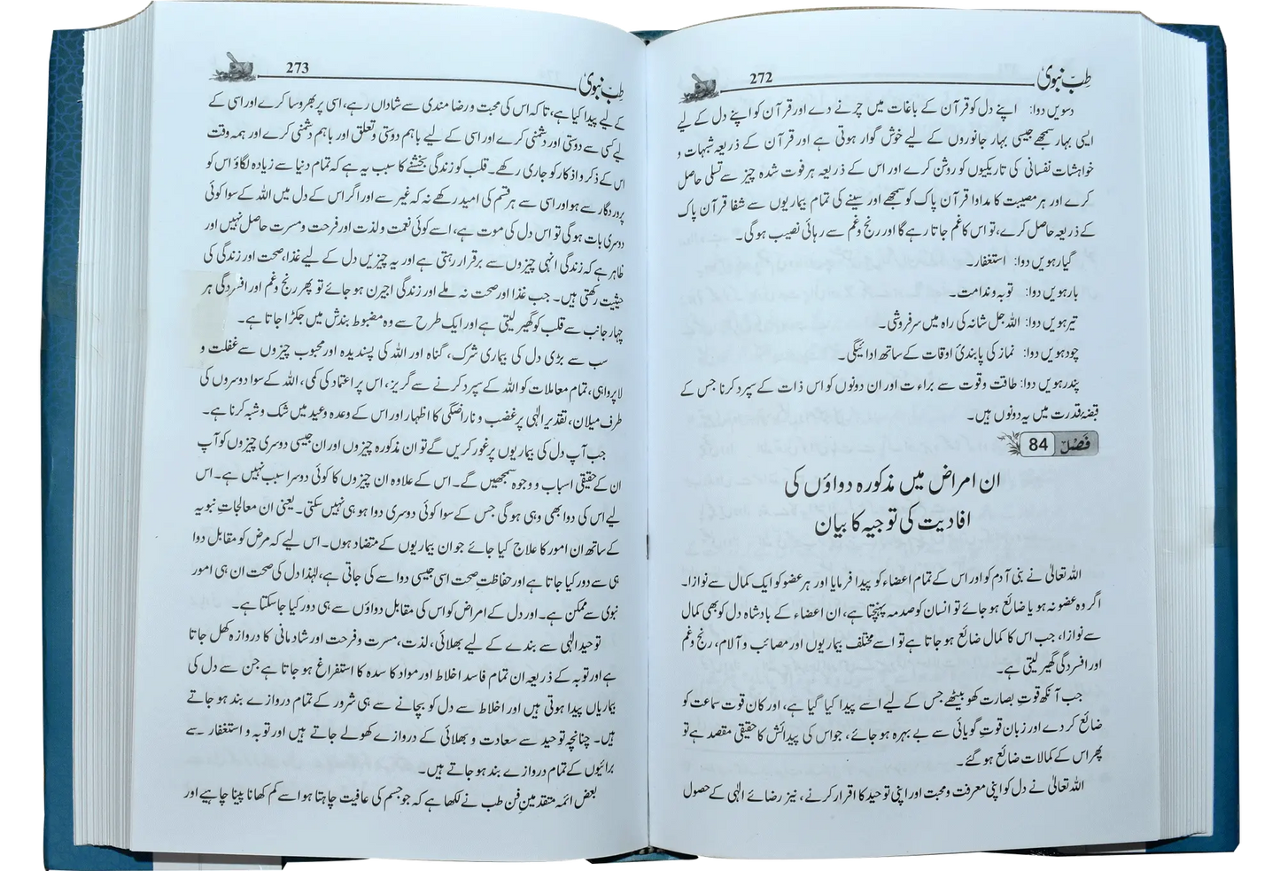 Tib e Nabvi 