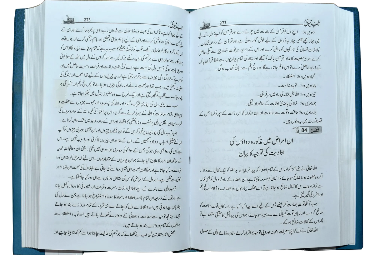 Tib e Nabvi by Imam Ibn Al-Qayyim Al Jauziyyah, inside pages 2, Dar Ul Andlus