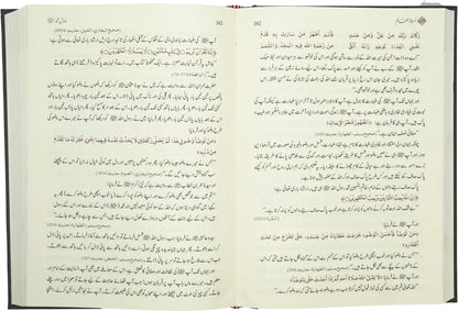 Uswah Tul Alam by Dr. Aid al-Qarni, inside pages, Darussalam Publishers