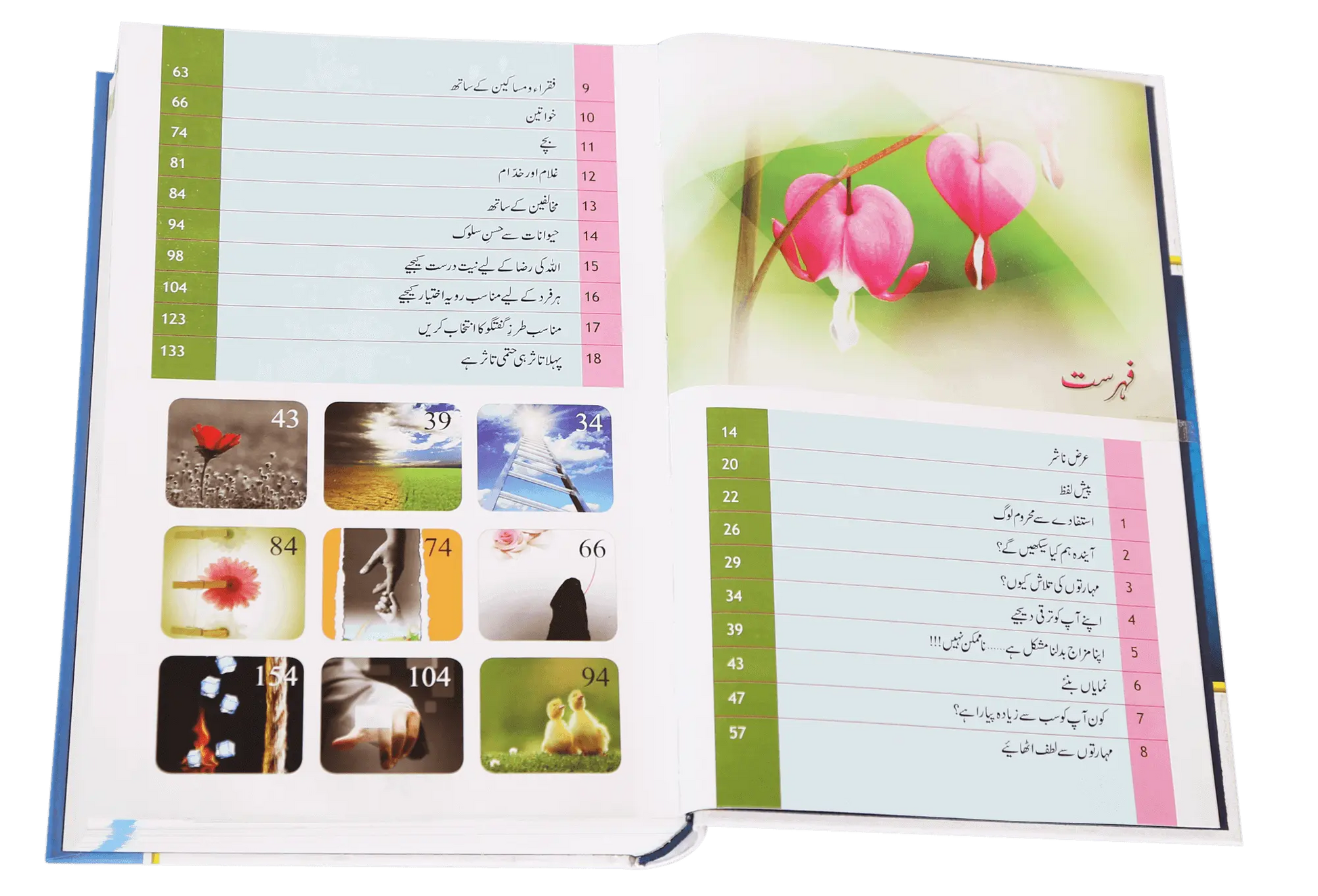 Zindagi Se Lutf Uthaye (Imported - Hard Cover) 