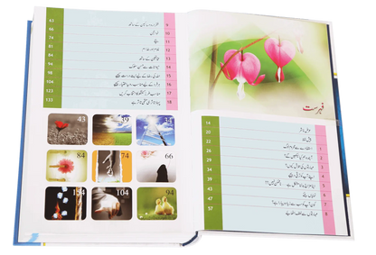 Zindagi Se Lutf Uthaye (Imported - Hard Cover) 