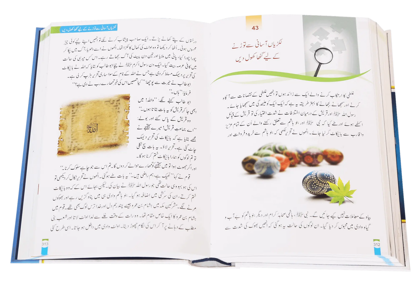 Zindagi Se Lutf Uthaye (Imported - Hard Cover) 